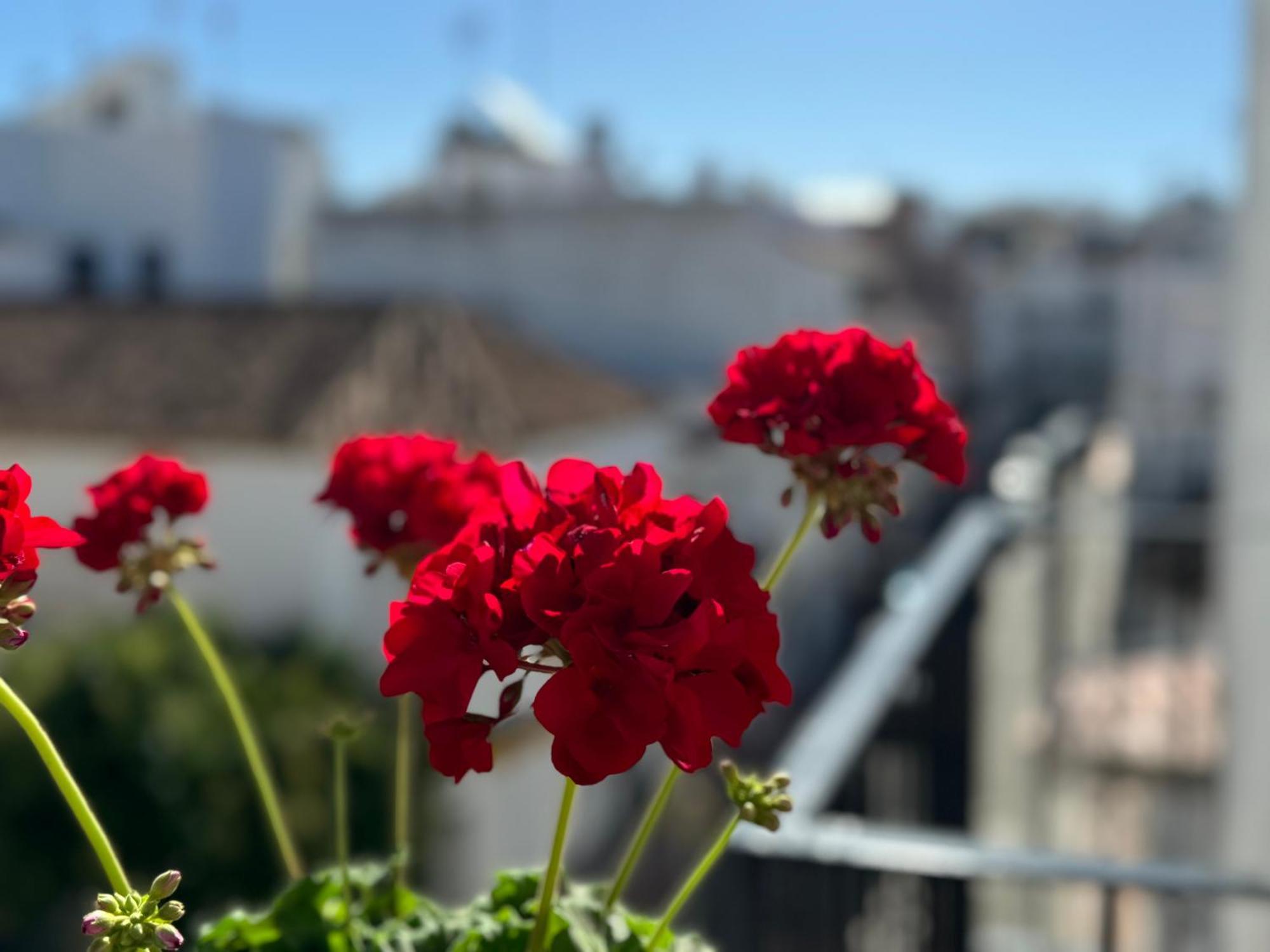 Encantadora Casa En El Corazon De Estepona Kültér fotó